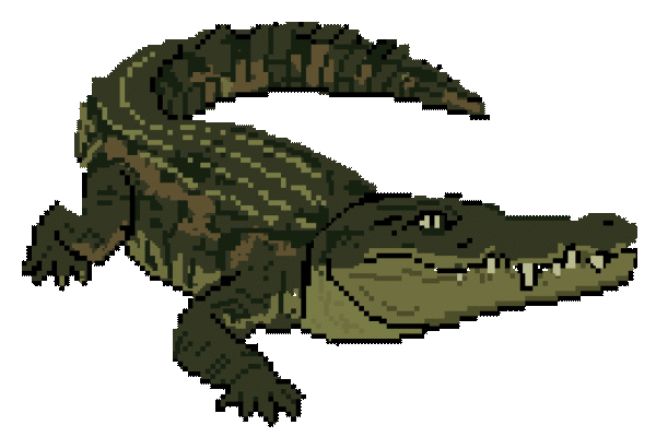 Crow the Crocodile